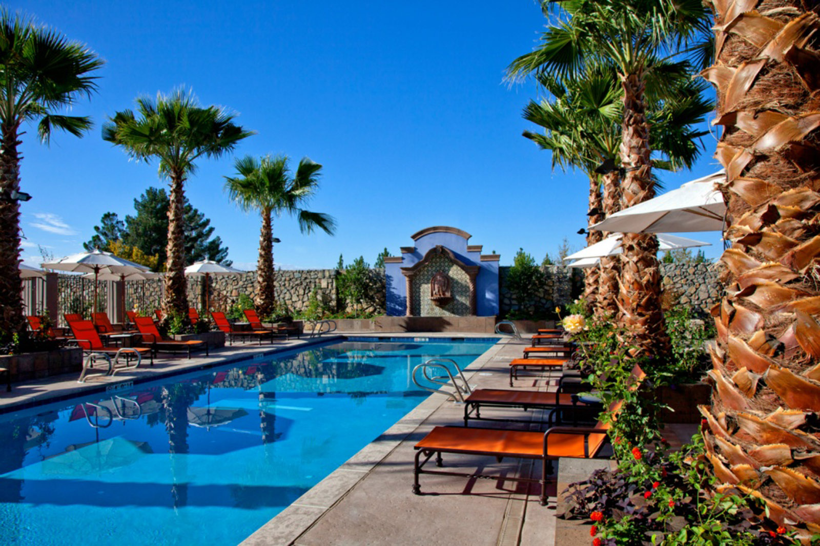 11341283335 8ffe343999 h