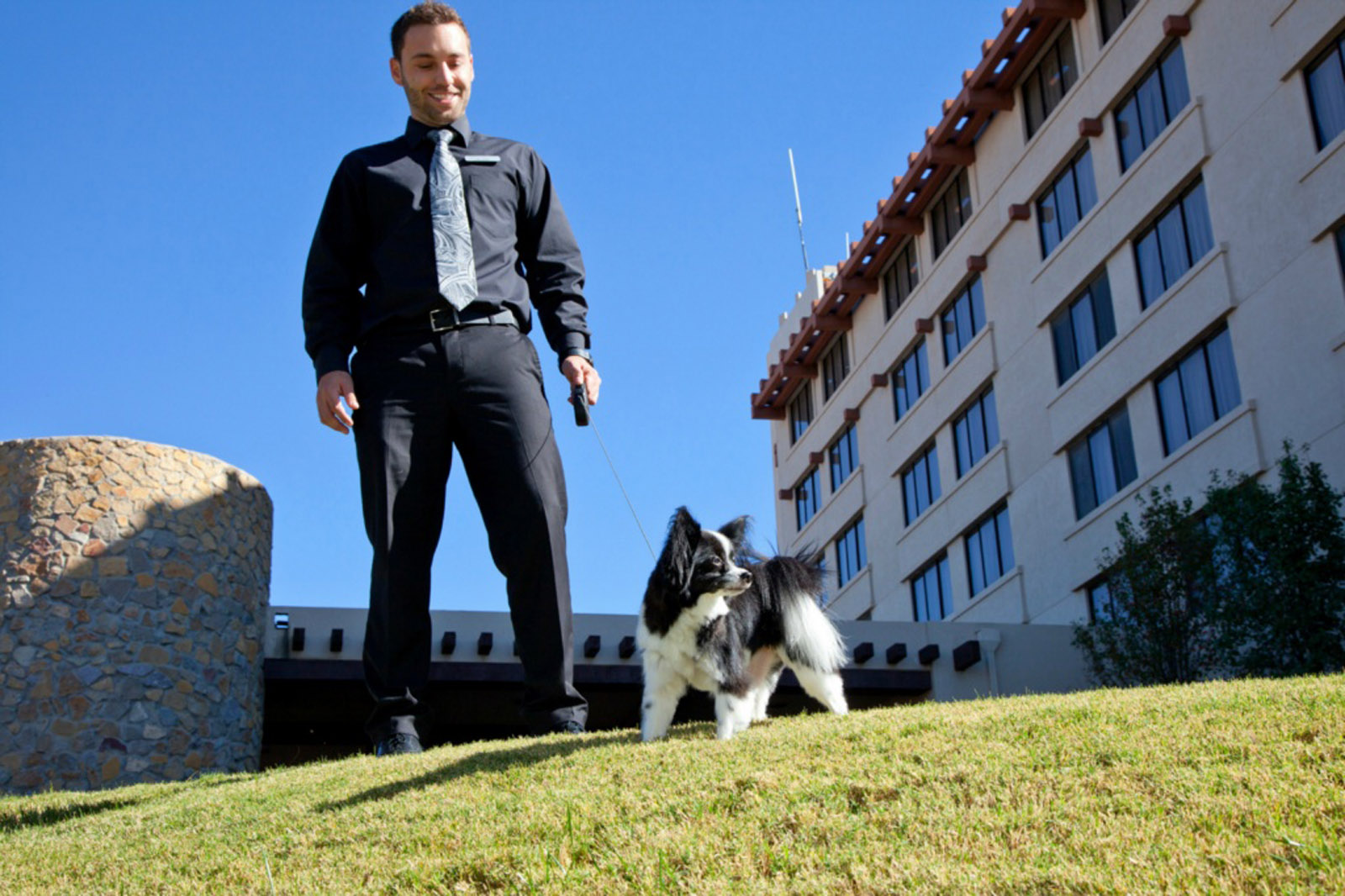 11341285555 0f3767d2f7 h