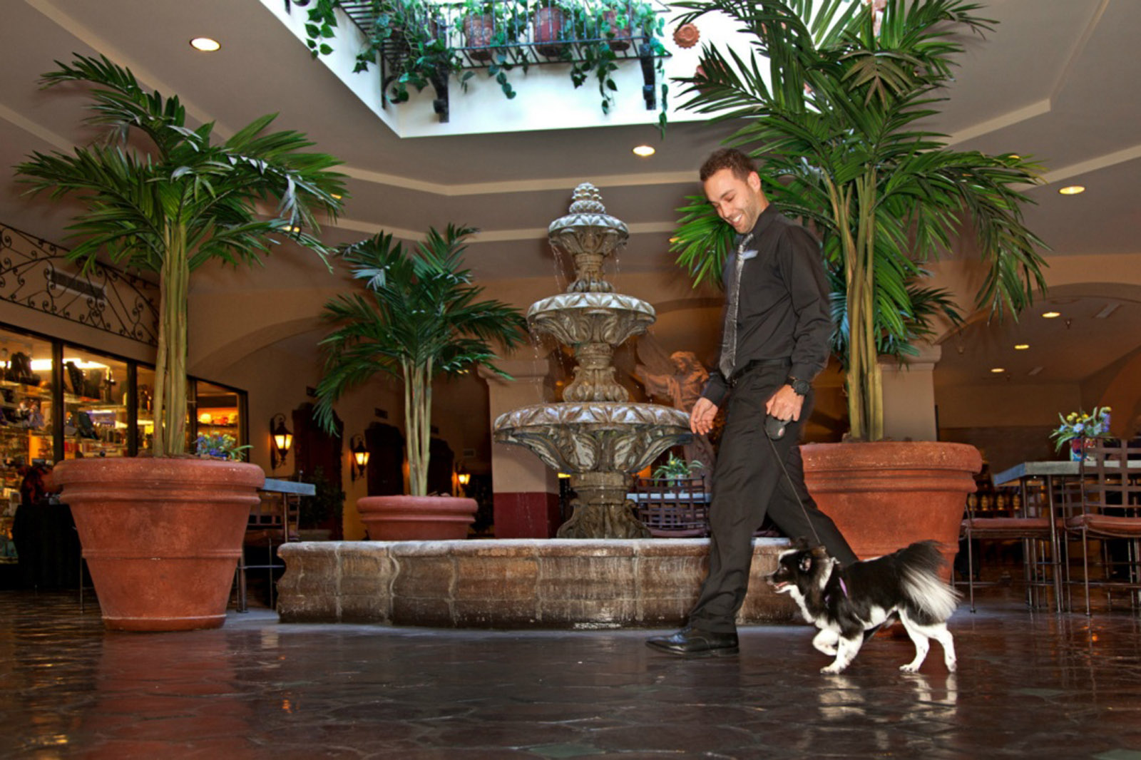 11341365846 8e40ba247d h